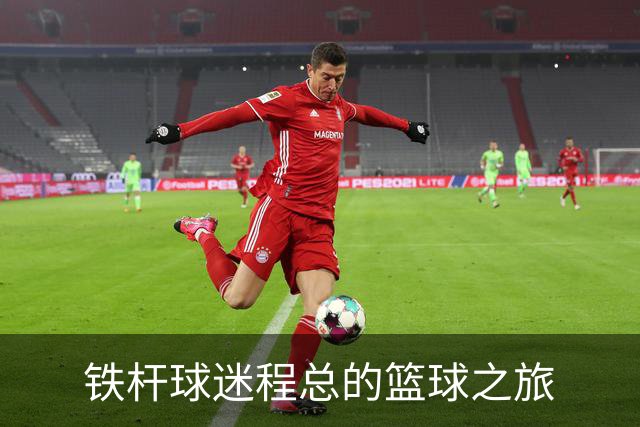 铁杆球迷程总的篮球之旅